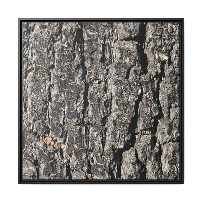Bark Study in Gray - Unique Stretched Canvas Wall Art