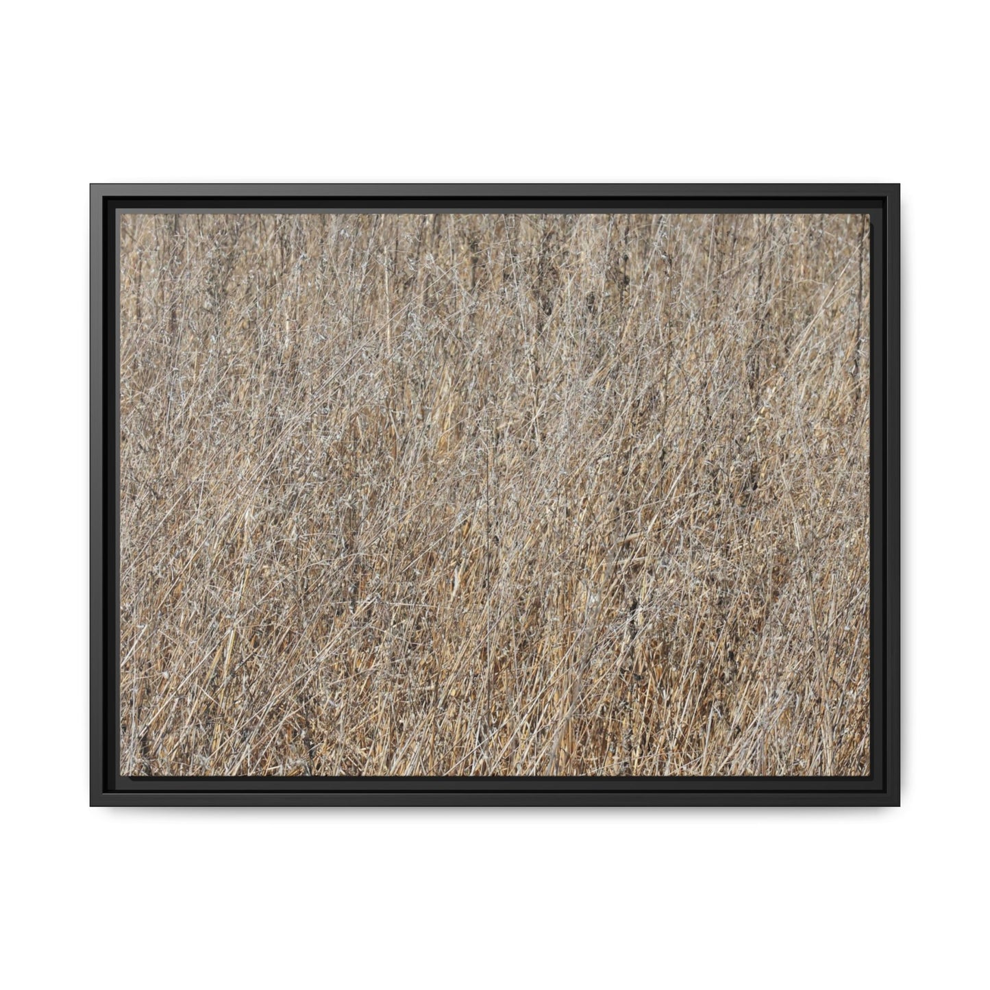 Dry Straw Symphony - Unique Stretched Canvas Wall Art - Art By Earth