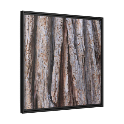 Nature's Sculpture - Unique Stretched Canvas Wall Art
