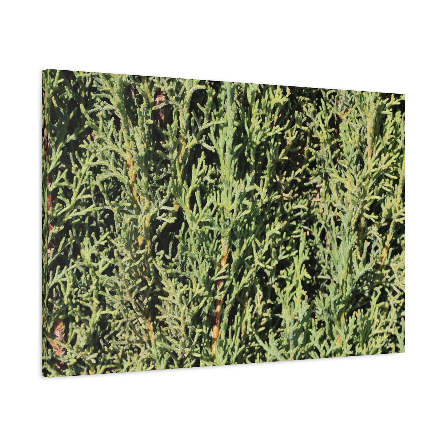 Emerald Tapestry - Unique Frameless Canvas Wall Art - Art By Earth