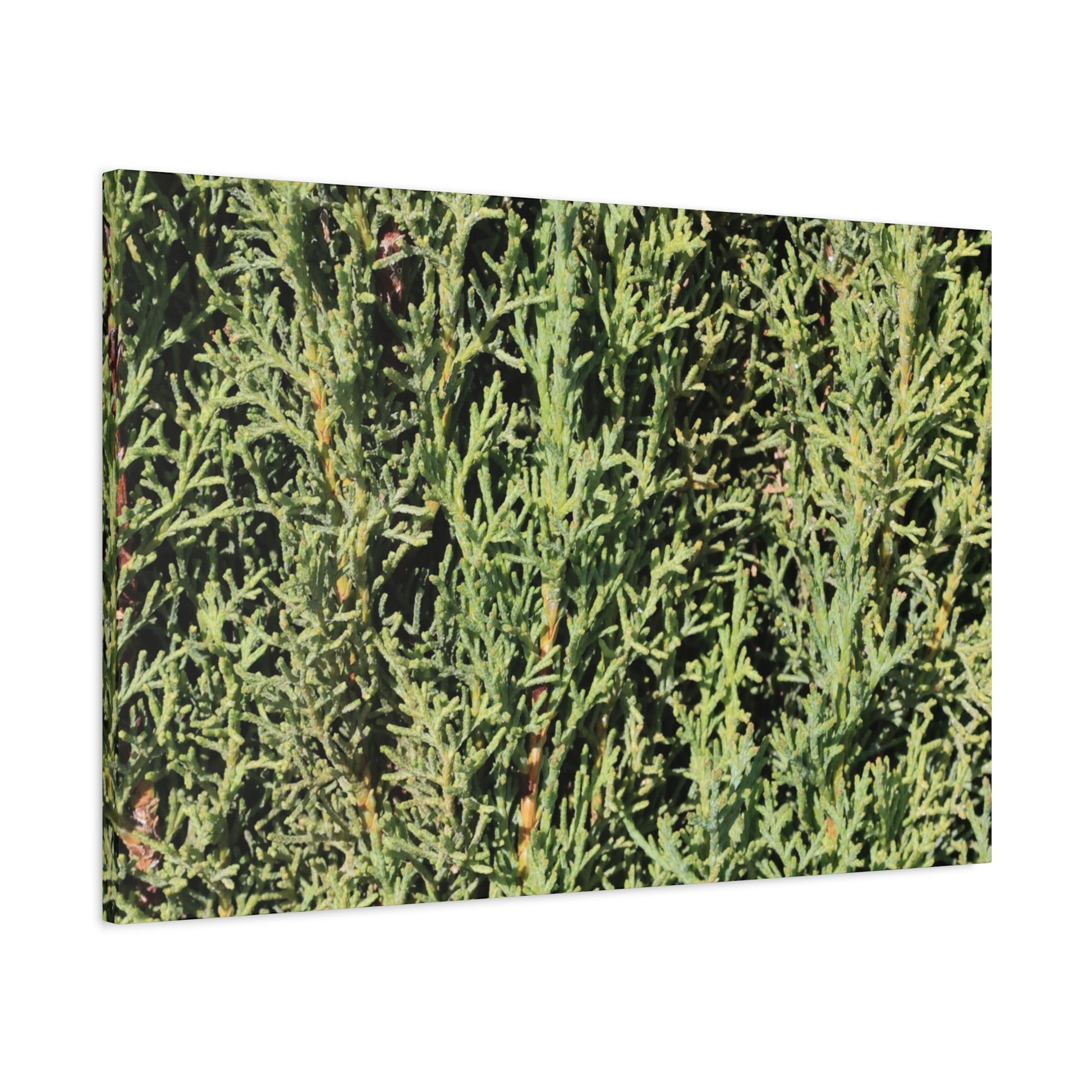 Emerald Tapestry - Unique Frameless Canvas Wall Art - Art By Earth