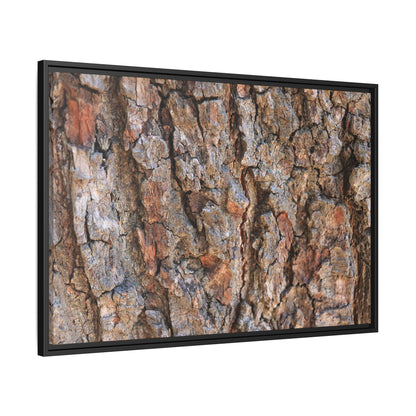 Tree's Timeworn Tale - Unique Stretched Canvas Wall Art