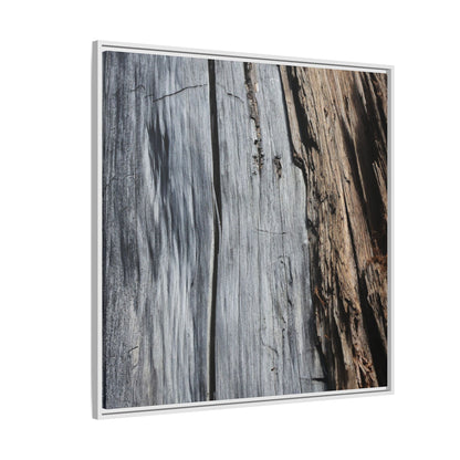 Wood's Lament - Unique Stretched Canvas Wall Art