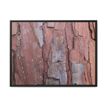 Peeling Bark - Unique Stretched Canvas Wall Art
