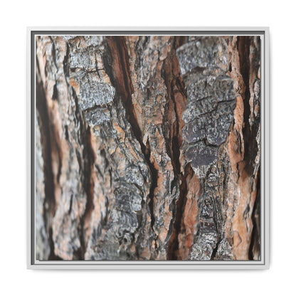 Fractured Nature - Unique Stretched Canvas Wall Art