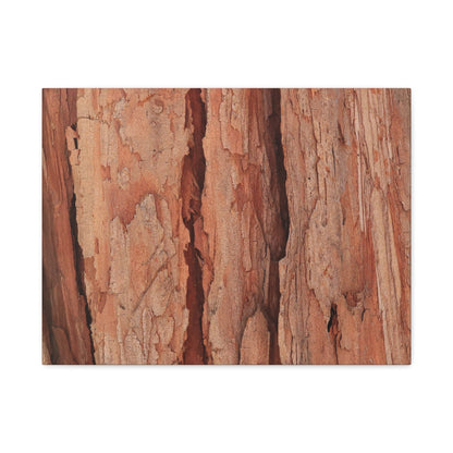 Bark Layers of Time - Unique Frameless Canvas Wall Art