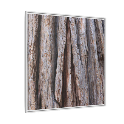 Nature's Sculpture - Unique Stretched Canvas Wall Art