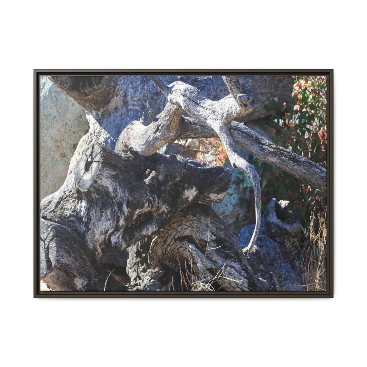 Resilient Roots - Unique Stretched Canvas Wall Art - Art By Earth