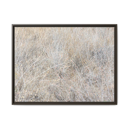 Whispers of Dry Grass - Unique Stretched Canvas Wall Art - Art By Earth
