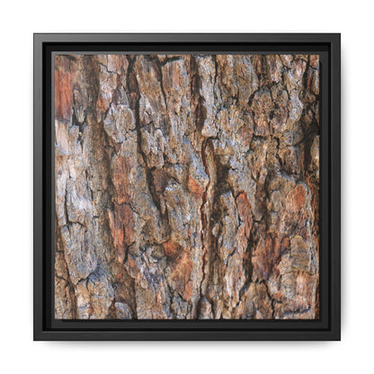 Tree's Timeworn Tale - Unique Stretched Canvas Wall Art