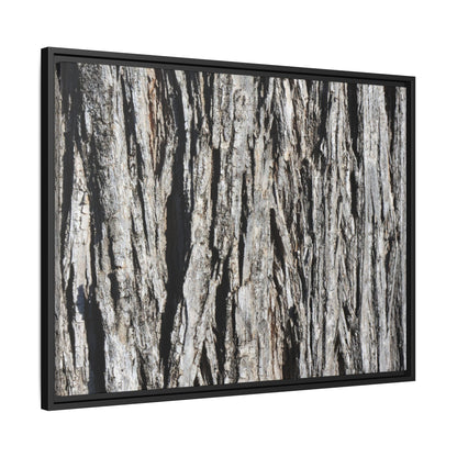 Nature's Abstract - Unique Stretched Canvas Wall Art