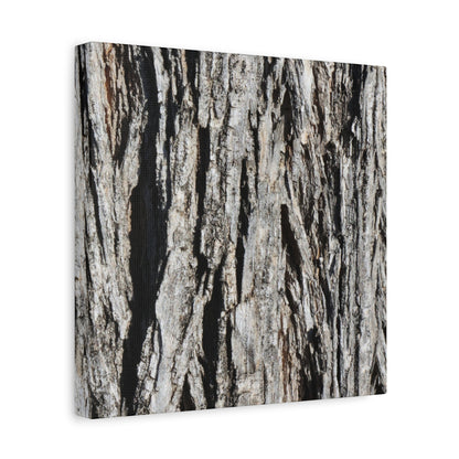 Bark Layers in Monochrome - Unique Frameless Canvas Wall Art