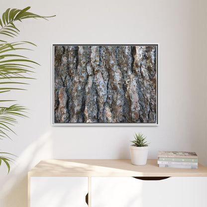 Bark Whispers - Unique Stretched Canvas Wall Art