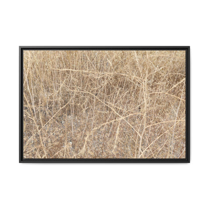 Golden Stalks - Unique Stretched Canvas Wall Art