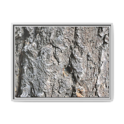 Crusty Exterior - Unique Stretched Canvas Wall Art