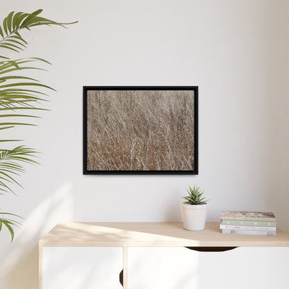 Dry Grass Symphony - Unique Stretched Canvas Wall Art - Art By Earth