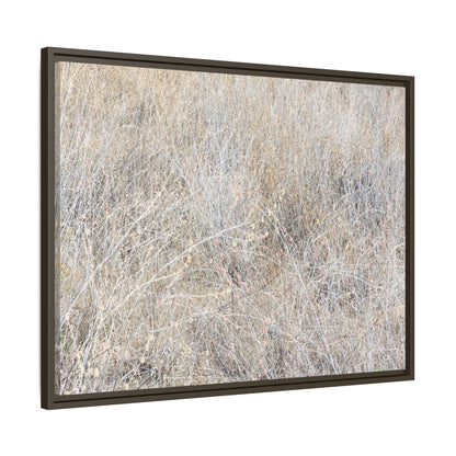 Whispers of Dry Grass - Unique Stretched Canvas Wall Art - Art By Earth