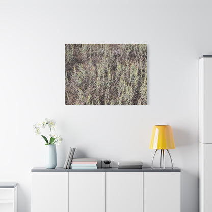 Whispers in the Sage - Unique Stretched Canvas Wall Art - Art By Earth
