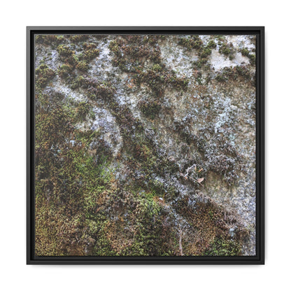 Mossy Whispers - Unique Stretched Canvas Wall Art