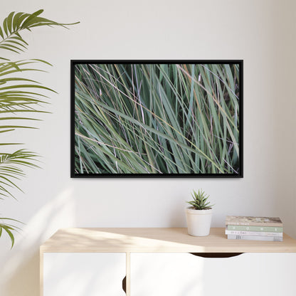 Grassland Symphony - Unique Stretched Canvas Wall Art