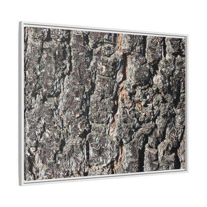Aged Beauty - Unique Stretched Canvas Wall Art