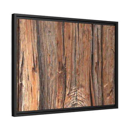 Echoes of Timber - Unique Stretched Canvas Wall Art