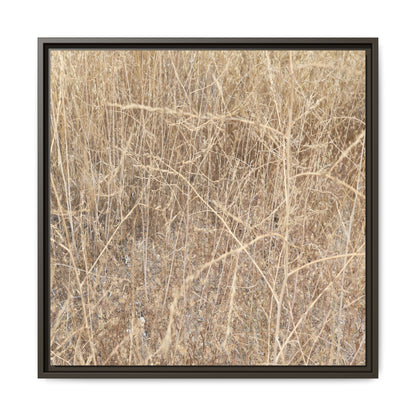 Golden Stalks - Unique Stretched Canvas Wall Art