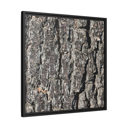 Bark Study in Gray - Unique Stretched Canvas Wall Art