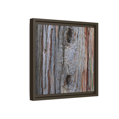 Knotty Nature - Unique Stretched Canvas Wall Art