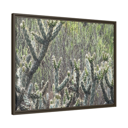 Prickly Paradise - Unique Stretched Canvas Wall Art