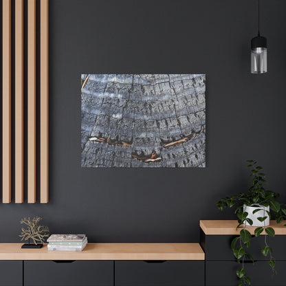 Time's Fractal Whispers - Unique Frameless Canvas Wall Art