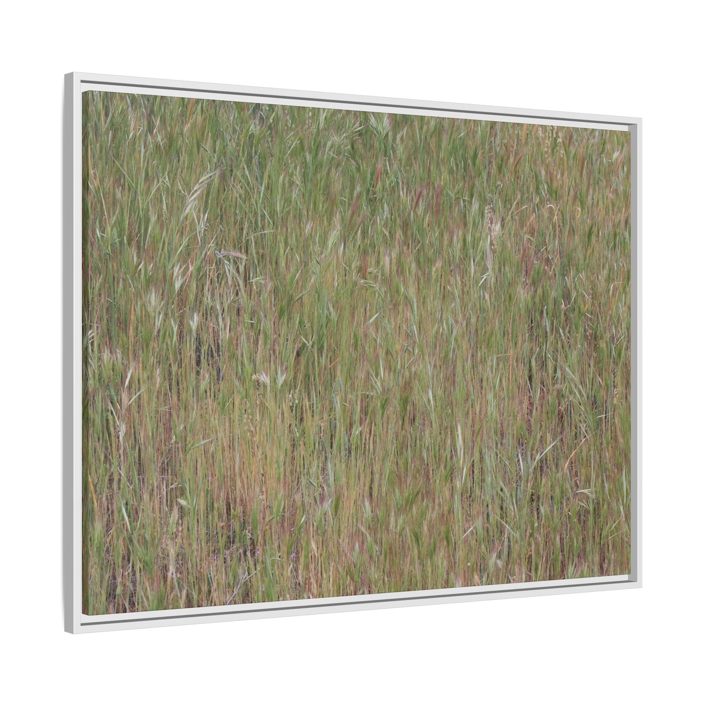Field of Dreams - Unique Stretched Canvas Wall Art