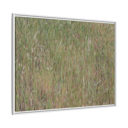 Field of Dreams - Unique Stretched Canvas Wall Art
