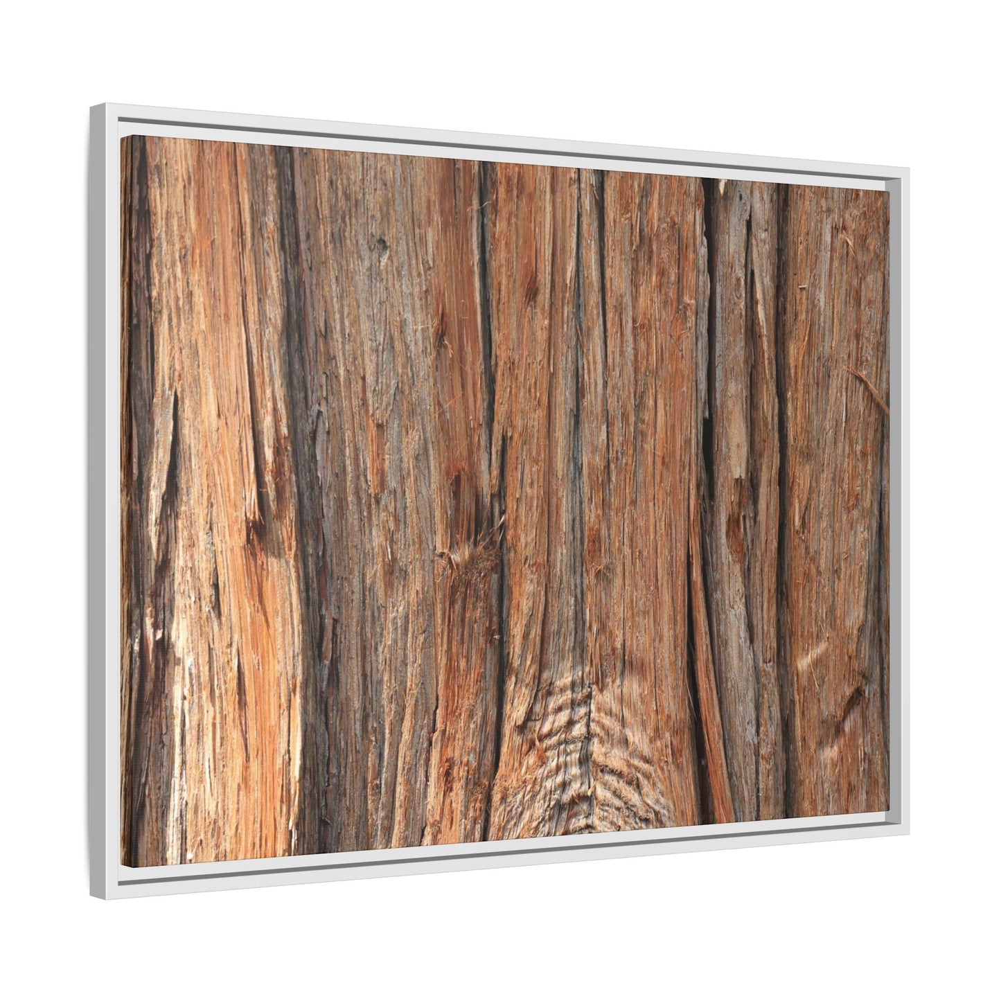 Echoes of Timber - Unique Stretched Canvas Wall Art
