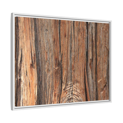 Echoes of Timber - Unique Stretched Canvas Wall Art