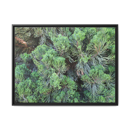 Verdant Whispers - Unique Stretched Canvas Wall Art
