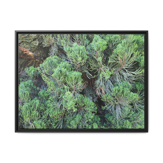 Verdant Whispers - Unique Stretched Canvas Wall Art