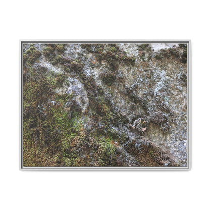 Mossy Whispers - Unique Stretched Canvas Wall Art
