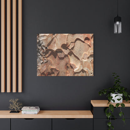 Terracotta Echoes - Unique Frameless Canvas Wall Art