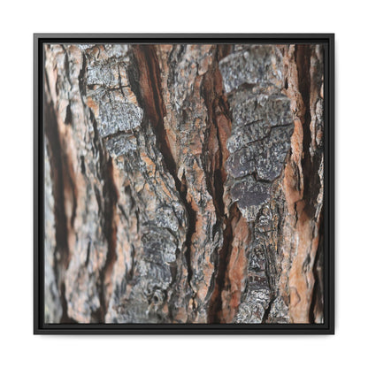 Fractured Nature - Unique Stretched Canvas Wall Art