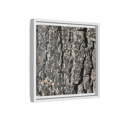 Bark Study in Gray - Unique Stretched Canvas Wall Art