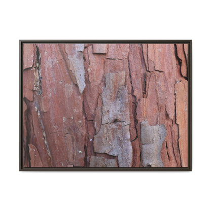 Peeling Bark - Unique Stretched Canvas Wall Art