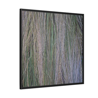 Whispers of Silver Grass - Unique Stretched Canvas Wall Art