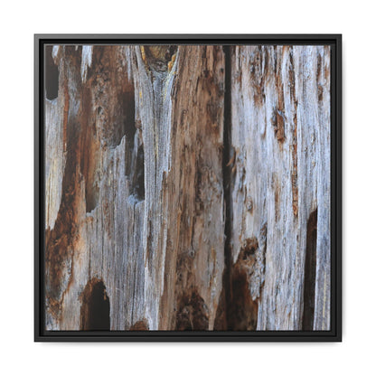 Decaying Splendor - Unique Stretched Canvas Wall Art