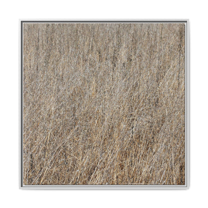 Whispers of Straw - Unique Stretched Canvas Wall Art - Art By Earth