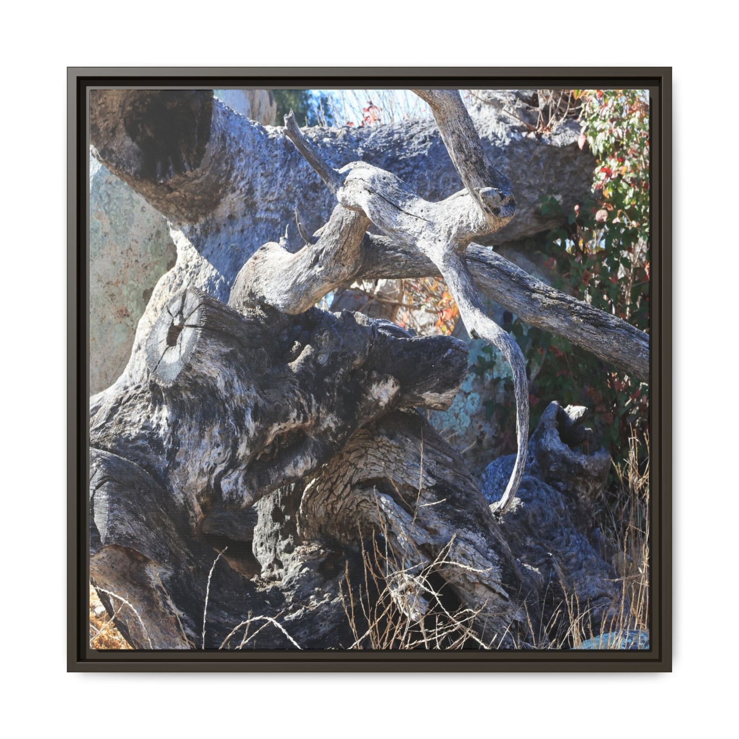 Resilient Roots - Unique Stretched Canvas Wall Art - Art By Earth