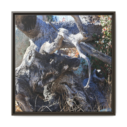 Resilient Roots - Unique Stretched Canvas Wall Art - Art By Earth