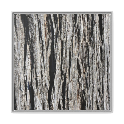 Bark Lines - Unique Stretched Canvas Wall Art
