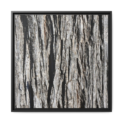 Bark Lines - Unique Stretched Canvas Wall Art
