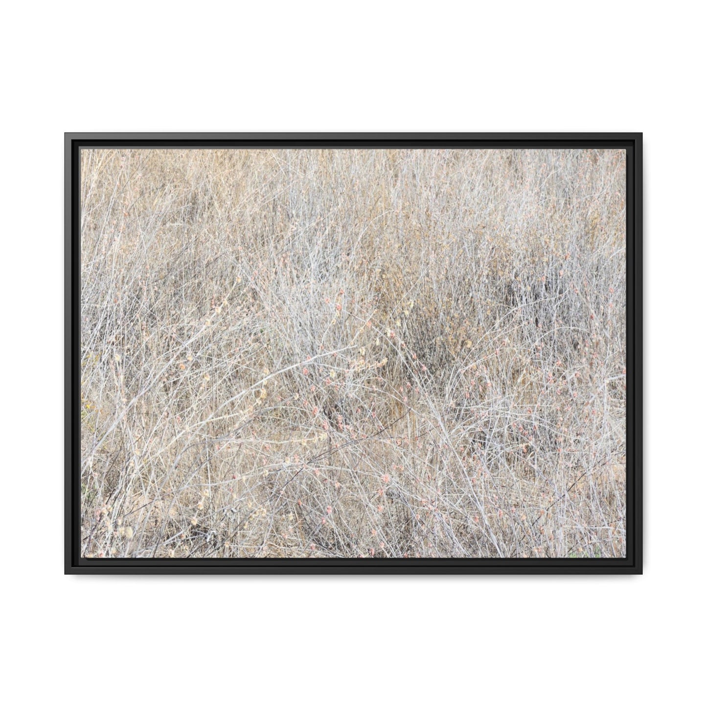 Whispers of Dry Grass - Unique Stretched Canvas Wall Art - Art By Earth
